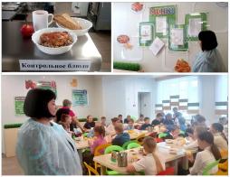 Контроль качества питания
           10.11.2025 г.